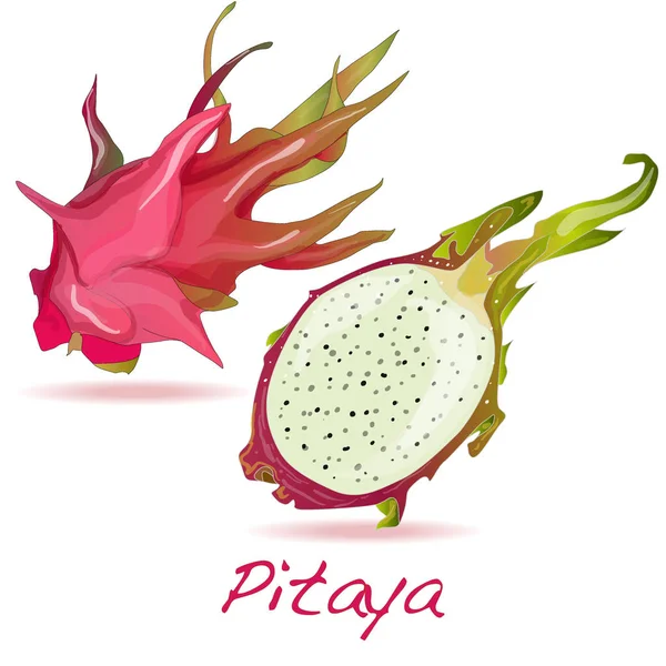 Pitaya o Dragon Fruit. ilustración aislada en blanco . — Foto de Stock