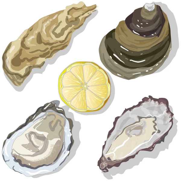 Ontdane oesters met citroen — Stockfoto