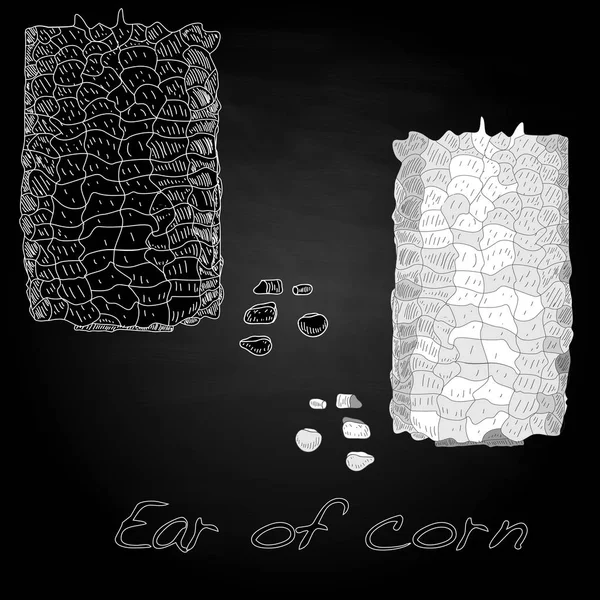 Кукурудза на ядрах кору — стокове фото