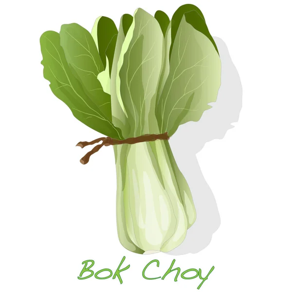 Bok choy vegetabiliska illustration isolerade på vit. — Stockfoto
