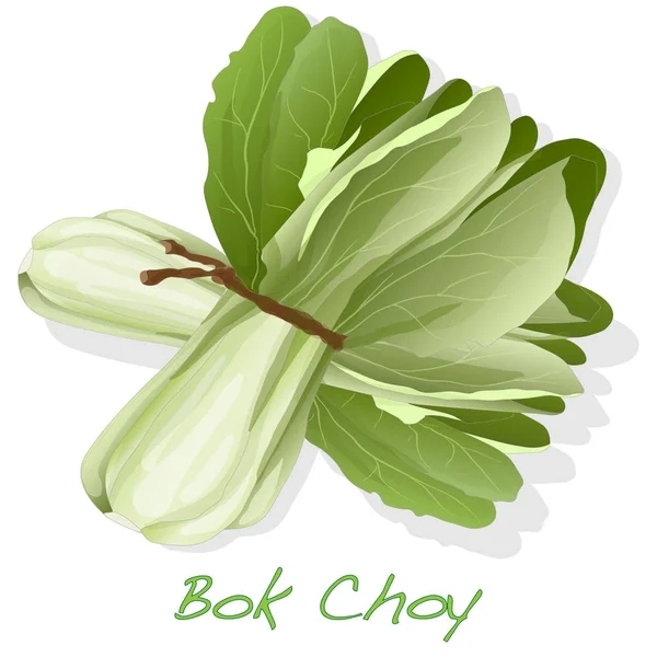 Bok choy Gemüse Illustration isoliert auf weiß. — Stockfoto