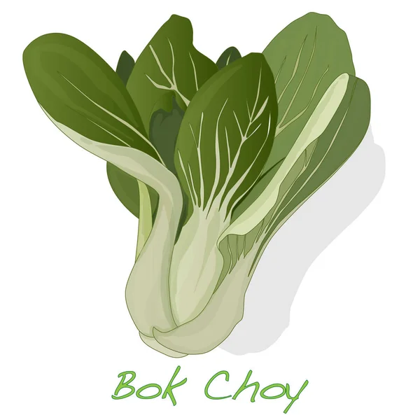 Bok choy Gemüse Illustration isoliert auf weiß. — Stockfoto