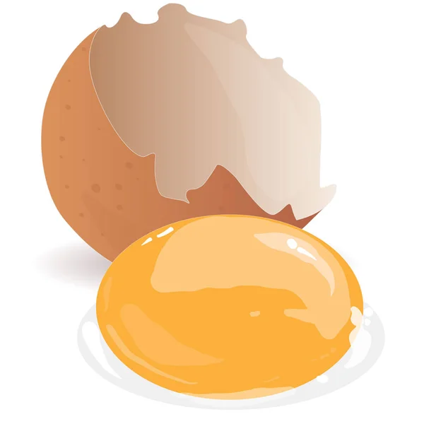 Разбитое яйцо Иллюстрация изолирована на белом . — стоковое фото