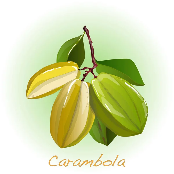 Geel fruit carambola's illustratie geïsoleerd op wit. — Stockfoto