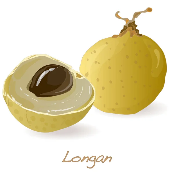 Longan Illustration isolée sur blanc . — Photo