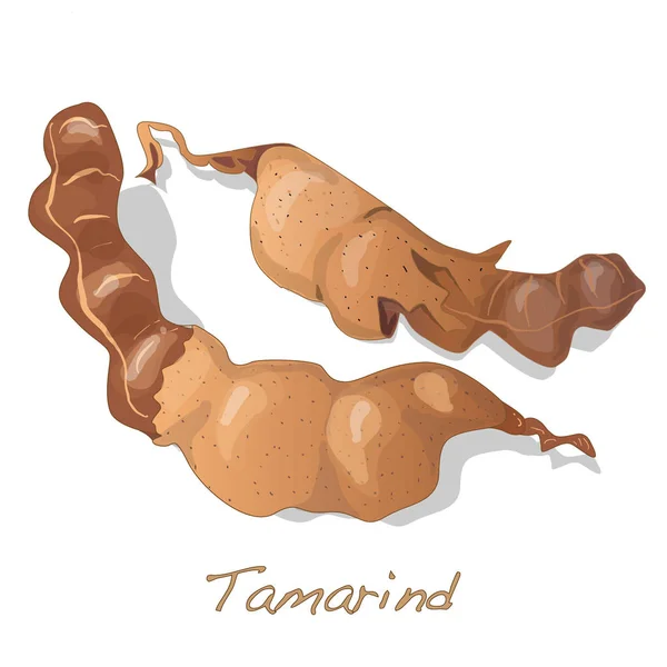 Tamarind ilustracja na białym tle. — Zdjęcie stockowe