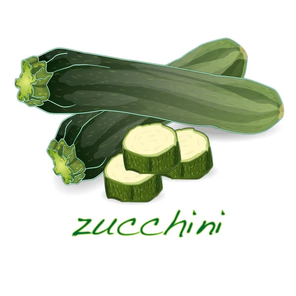 Green zucchini Illustration isolated on white. — Stock Photo, Image