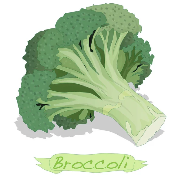 Brokkoli Gemüse Illustration isoliert. — Stockfoto
