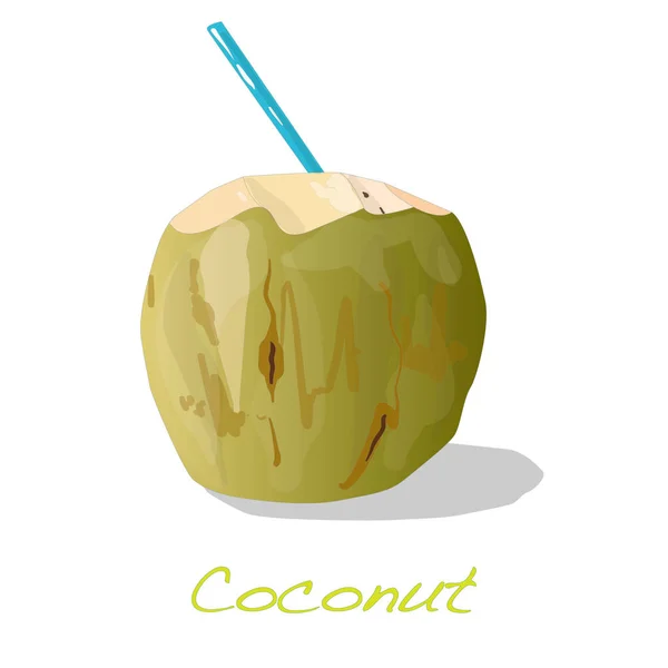 Gröna kokosnötter med dricka sugrör — Stockfoto