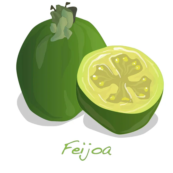 Tropische Früchte Feijoa Illustration isoliert. — Stockfoto