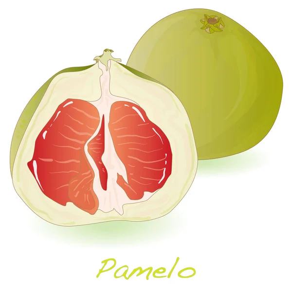 Pomelo o pomelo chino aislado — Foto de Stock