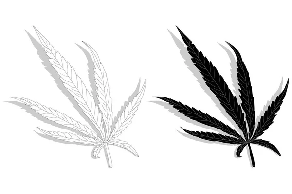 Cannabis blad. Illustratie geïsoleerd. — Stockfoto