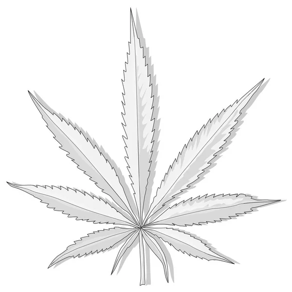 Cannabis leaf vector isolated — Stock Photo, Image