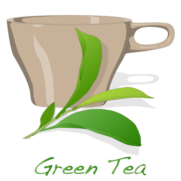 Чашка свежего зеленого чая
 