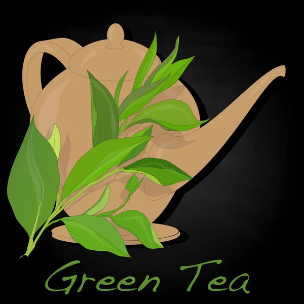Hoja de té verde Ilustración aislada . —  Fotos de Stock