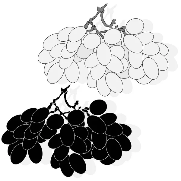 Kiść winogron na białym tle na białym tle — Wektor stockowy