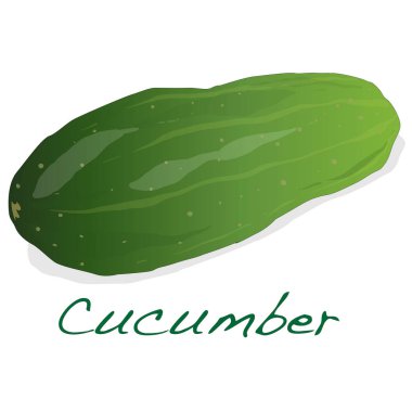 Salatalık görüntü üzerinde beyaz bacground izole