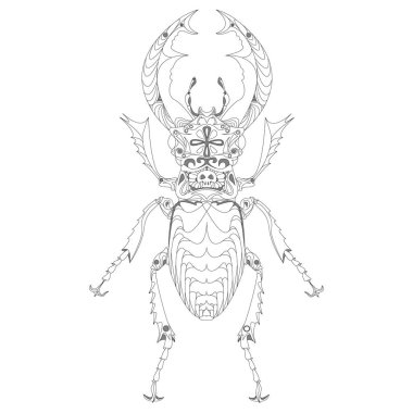 Böceği. Elle çizilmiş kroki.