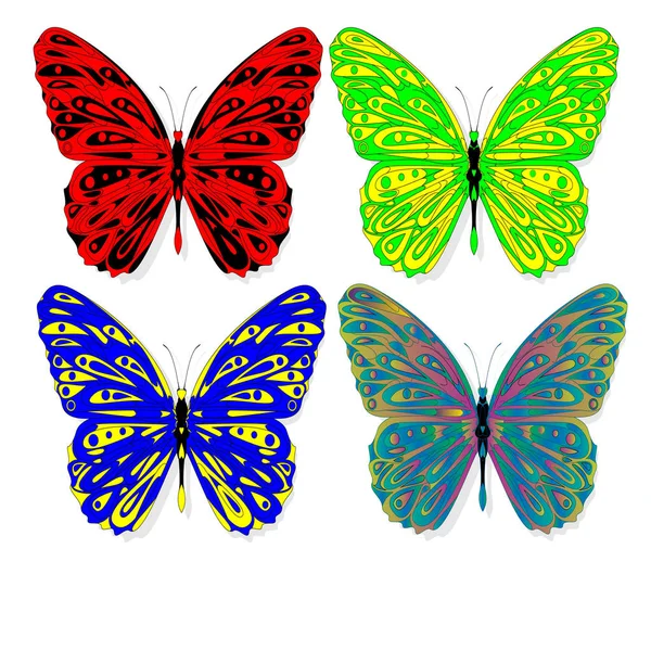 Style papillon zentangle dessiné à la main — Image vectorielle