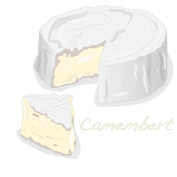 Queijo camembert conjunto ilustração isolado — Vetor de Stock