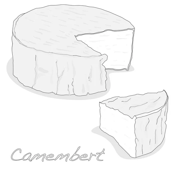 Camembert keju diisolasi ilustrasi ditetapkan - Stok Vektor