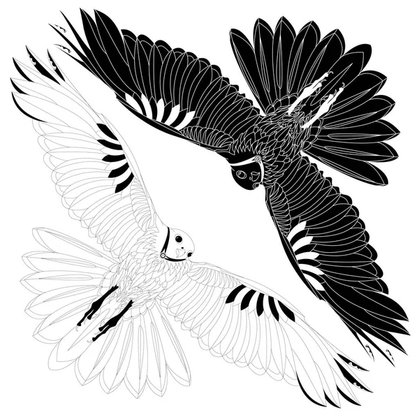 Aigle volant sur fond blanc . — Image vectorielle