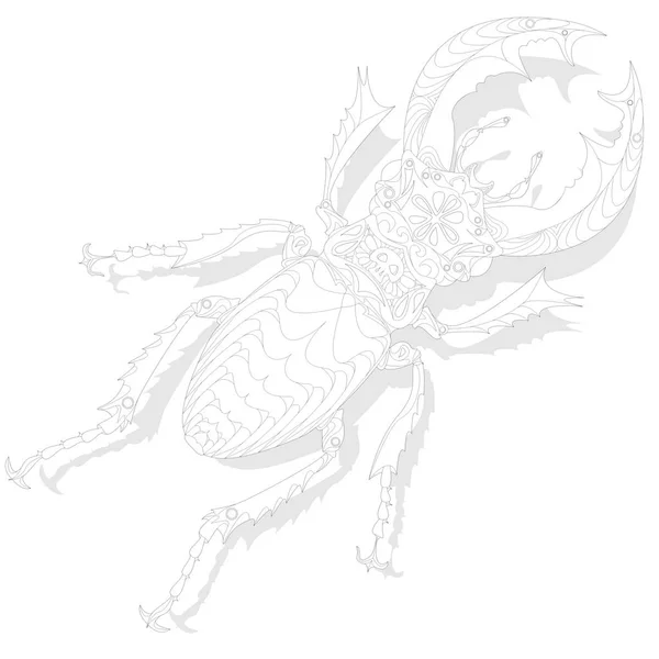 Escarabajo. Bosquejo dibujado a mano . — Archivo Imágenes Vectoriales