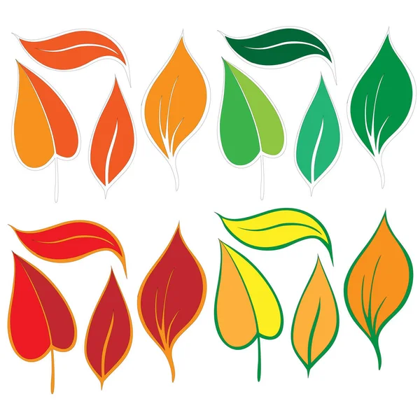 Colección siluetas de hojas . — Vector de stock
