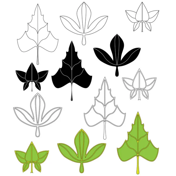 Colección siluetas de hojas . — Vector de stock