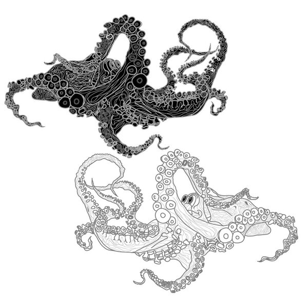 Monochrome hand drawn illustration of octopus.  