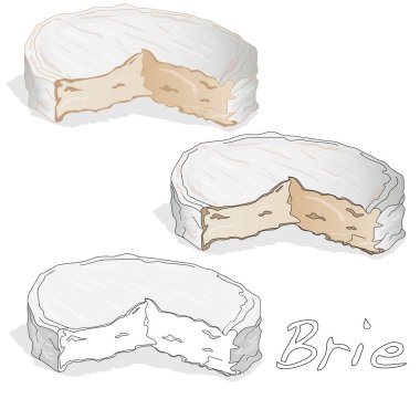 Brie peyniri vektör izole