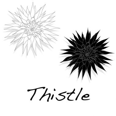 Thistle bitki süt. Viski thistle. Vektör.