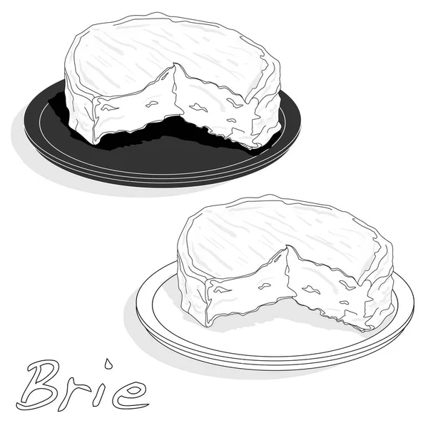 Queso brie vector aislado — Archivo Imágenes Vectoriales