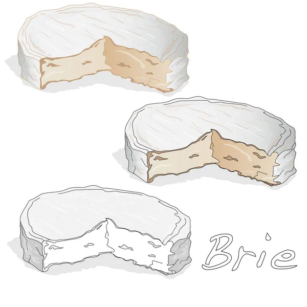 Queijo Brie vetor isolado — Vetor de Stock