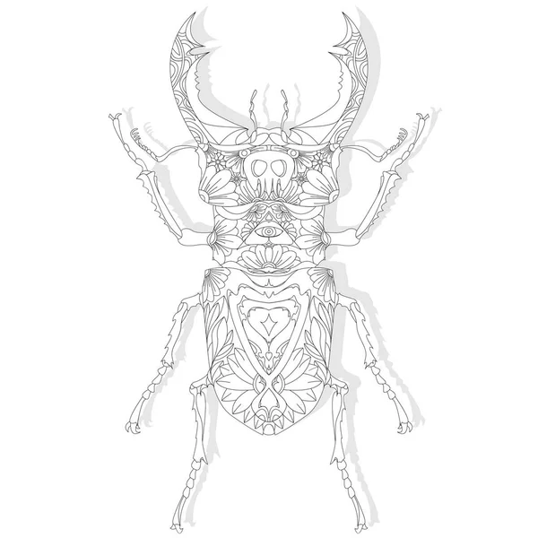Escarabajo. Bosquejo dibujado a mano . — Vector de stock