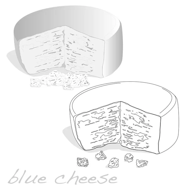 고립 된 지방 소프트 블루 치즈 — 스톡 벡터