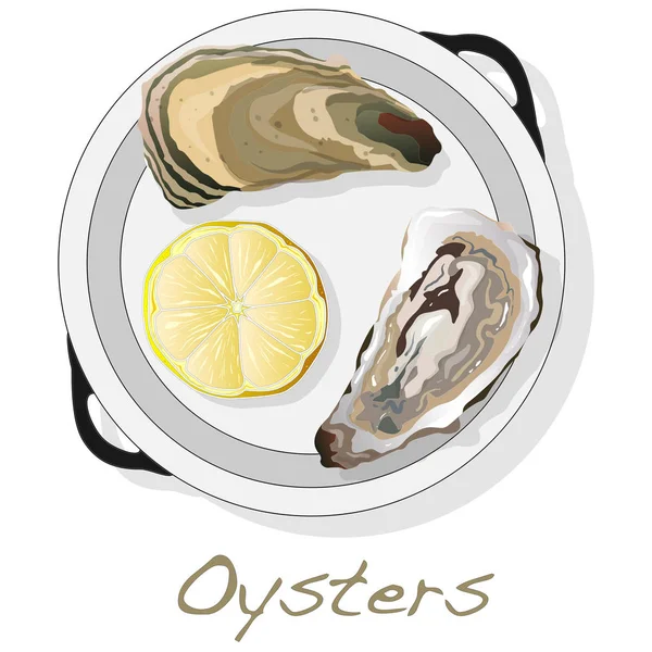 Verse oesters afbeelding instellen — Stockvector