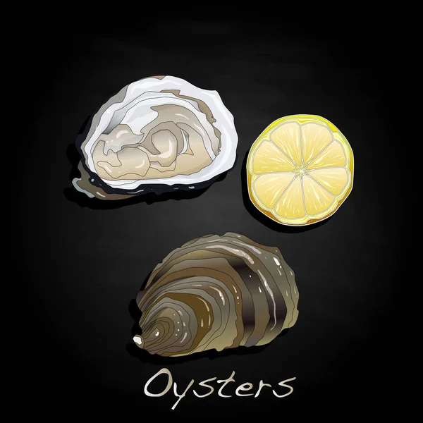 Verse oesters afbeelding instellen — Stockvector