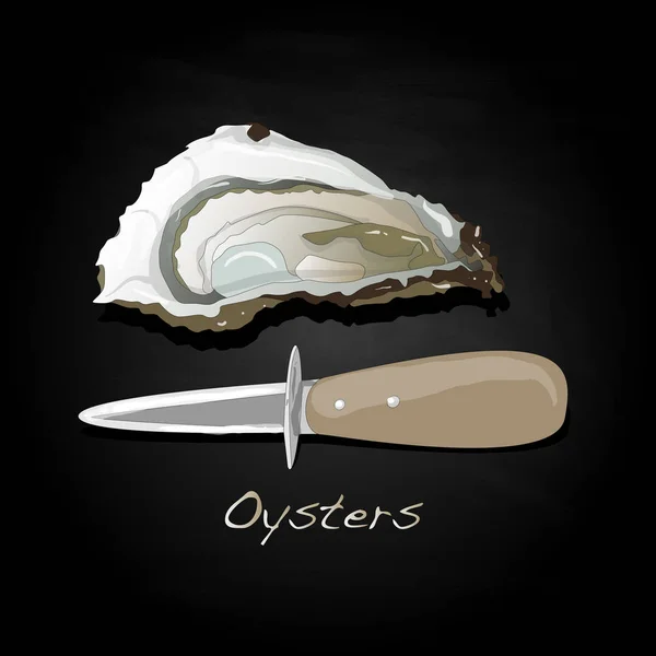 Ensemble d'images d'huîtres fraîches — Image vectorielle