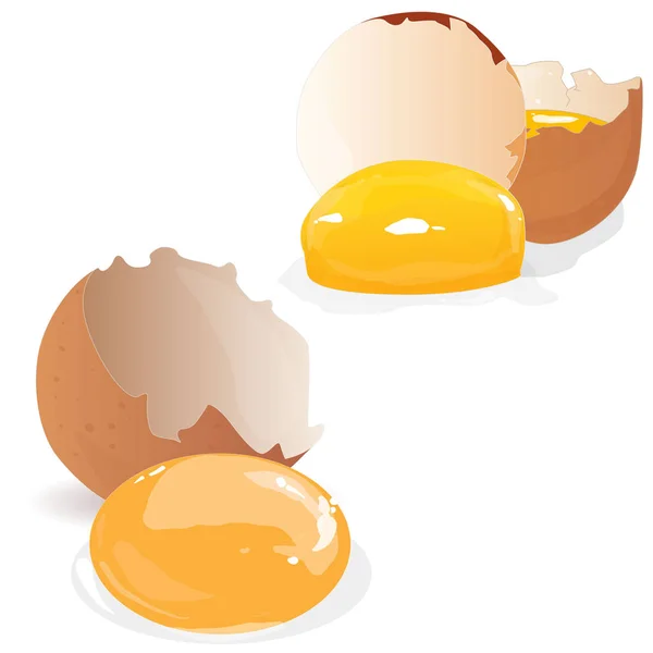 Huevo roto aislado — Vector de stock