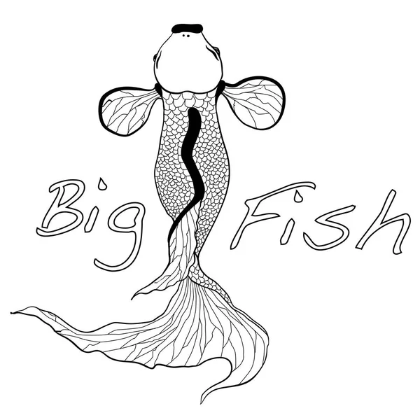 Ilustração de carpa koi, peixe . — Vetor de Stock