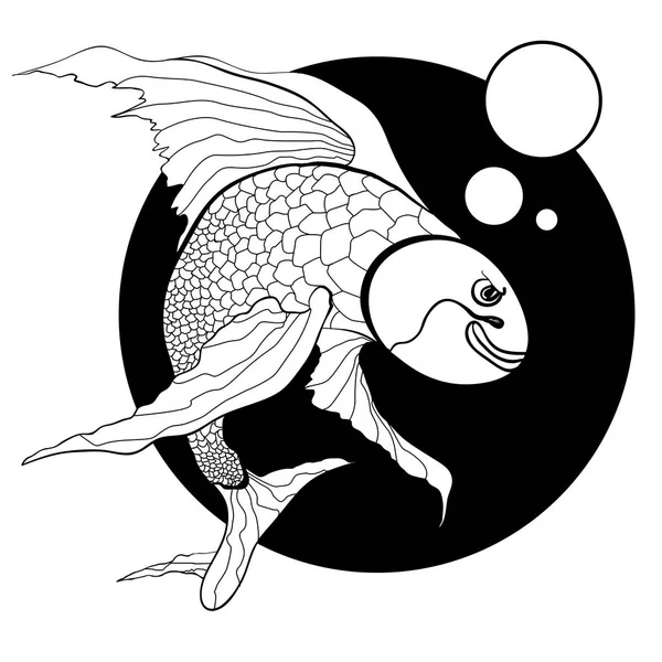 Ilustrace z koi kapr, ryba. — Stockový vektor