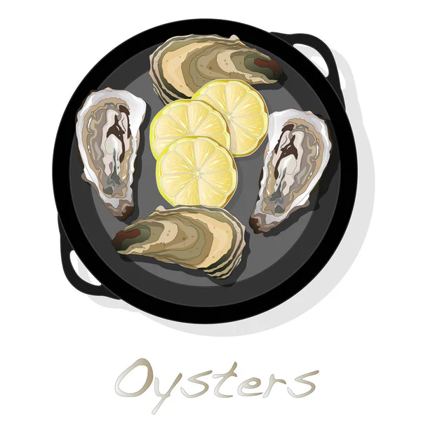 Verse oesters afbeelding instellen — Stockfoto