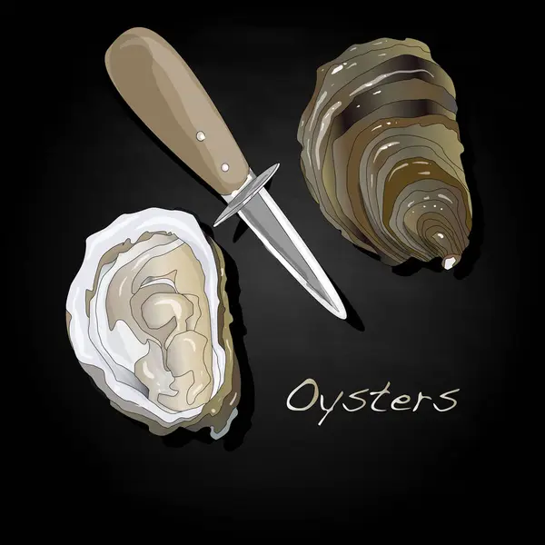 Verse oesters afbeelding instellen — Stockfoto