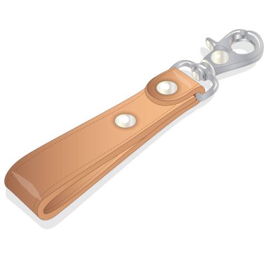 Anahtarlık izole illüstrasyon