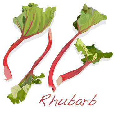 taze ravent üzerinde beyaz izole