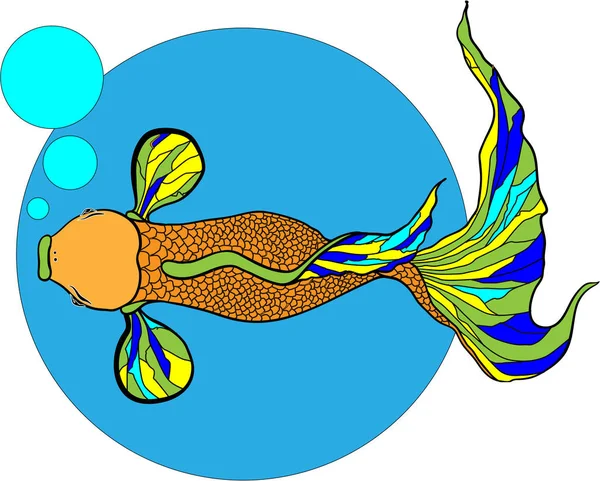 Ilustração de carpa koi, peixe . — Fotografia de Stock