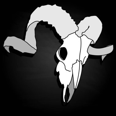 Kafatası-elle çizilmiş illüstrasyon