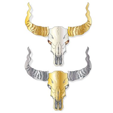 Kafatası-elle çizilmiş illüstrasyon