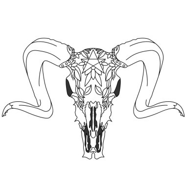 Kafatası-elle çizilmiş illüstrasyon